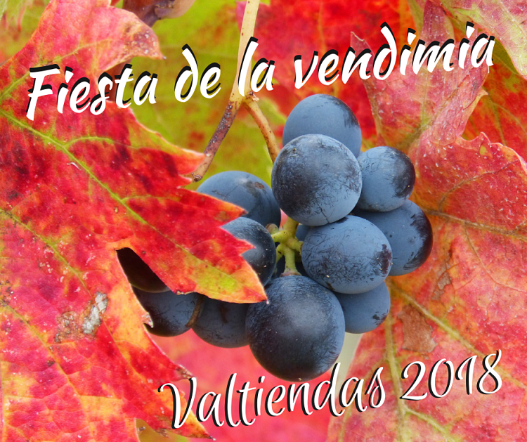 Fiesta de la vendimia 2