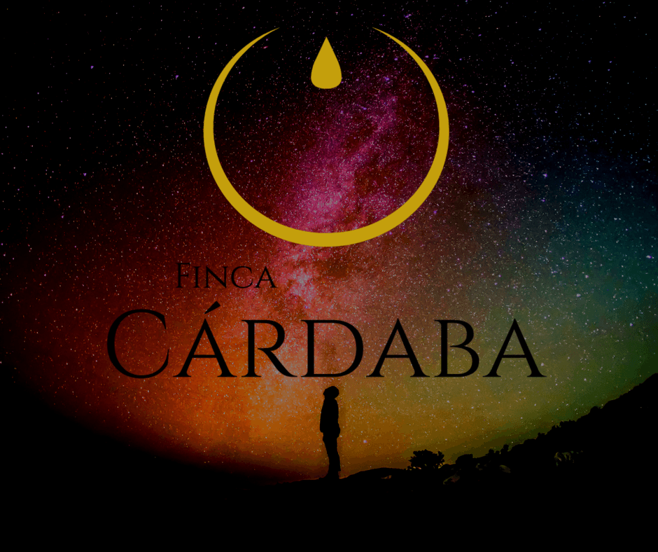 Secreto Finca Cárdaba 3